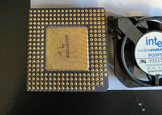 BatyraAmibay_PODP63 (3).webp