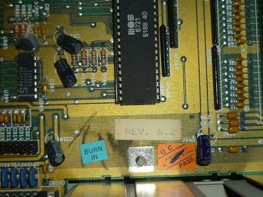 P1030855 (Medium).JPG