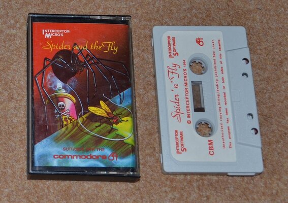 spider and the fly.jpg