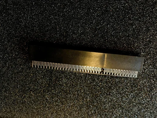 IMG_2390 (Medium).webp