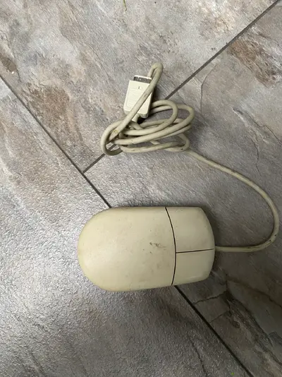 Фото 18.01.26, 11 29 16.webp