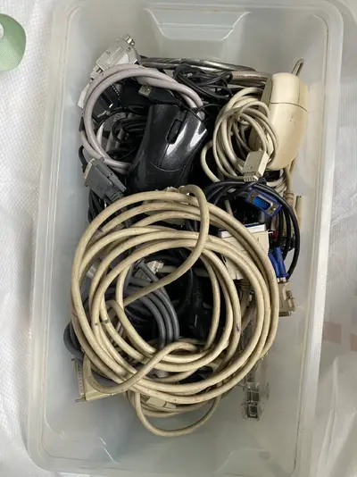 Фото 18.01.26, 11 29 30.webp