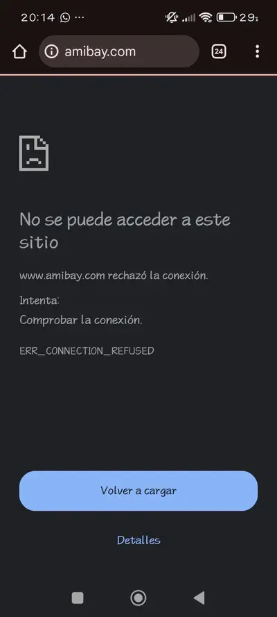 WhatsApp Image 2026-01-26 at 20.14.56.webp