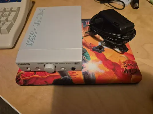 For Sale - Casio GZ-50M Midi module | AmiBay