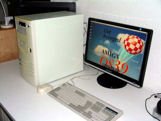 DSC01451.JPG ami.jpg