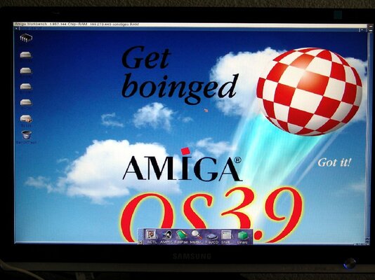 DSC01453.JPG ami.jpg