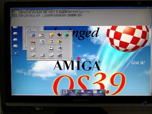 DSC01457.JPG ami.jpg