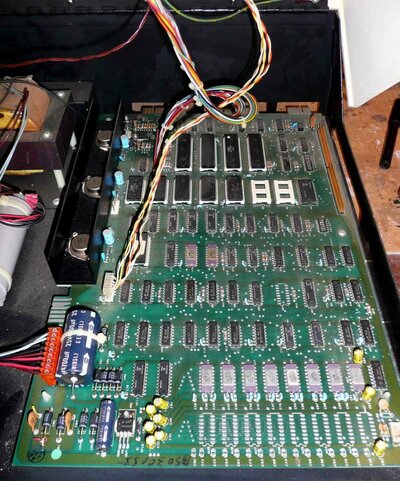 CBM PET 2001 series - 02.jpg