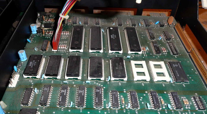 CBM PET 2001 series - 03.jpg