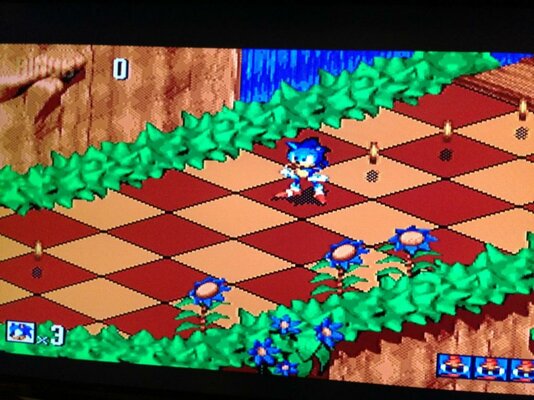 IMG_6271 (Medium).jpg