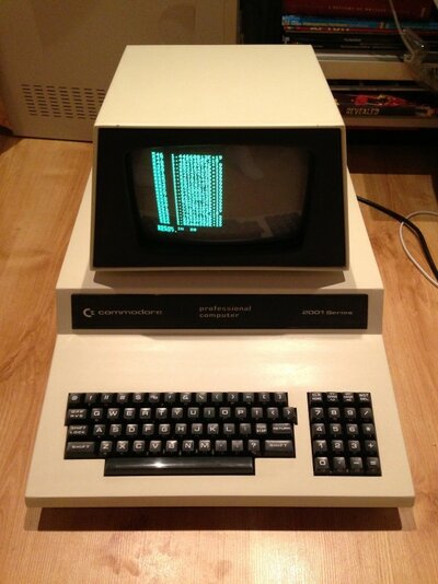 IMG_6315 (Medium).JPG