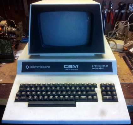 Defective Pet 2001 N -02.jpg