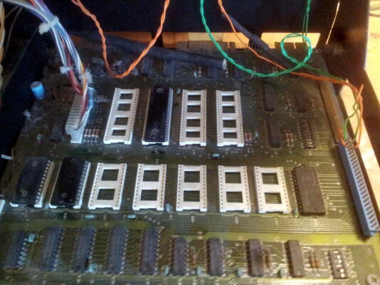 Defective Pet 2001 N -05.jpg