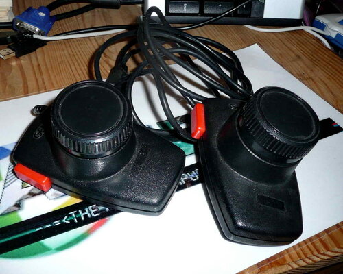 19. Gemeni paddles - 5 euro.jpg