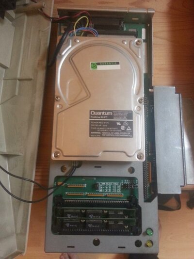 20140225_100720 (768x1024).jpg