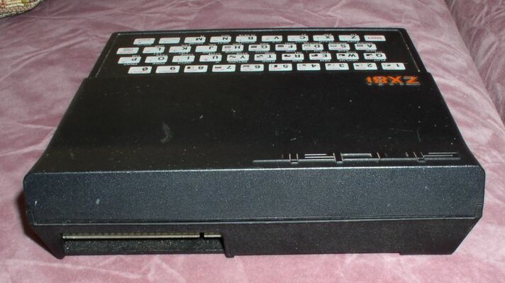zx81 rear.jpg