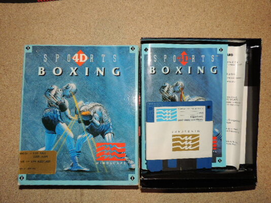 Sports 4D boxing.JPG