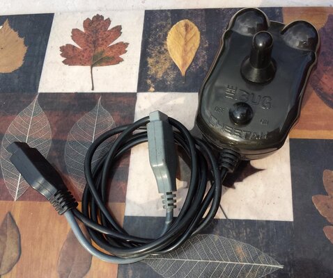 Cheetah The Bug_s.jpg