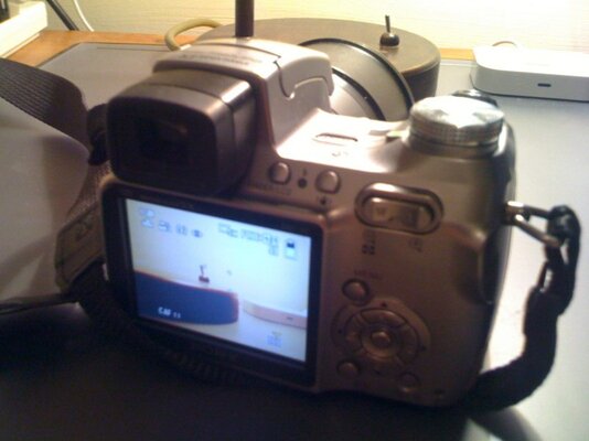 IMG_0528 [800x600].jpg