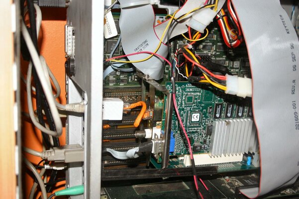 network in place.jpg