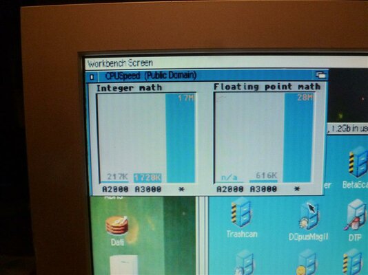 P1040679 (Medium).JPG