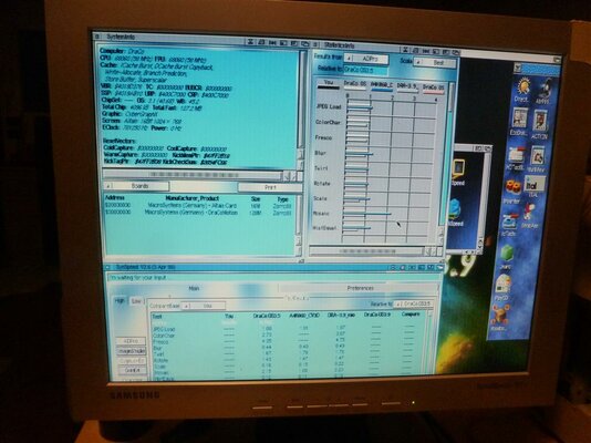 P1040675 (Medium).JPG