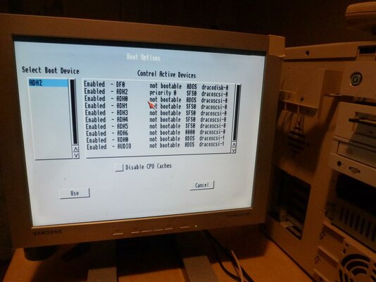 P1040670 (Medium).JPG