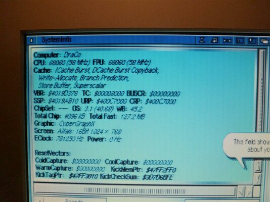 P1040680 (Medium).JPG