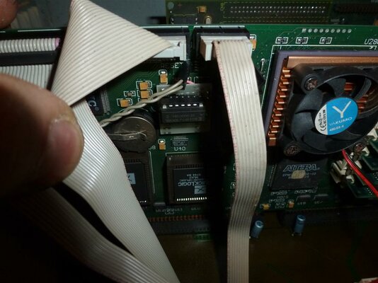 P1040683 (Medium).JPG