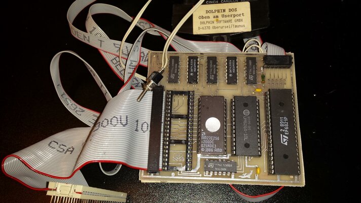 DolphinDOS(small).jpg