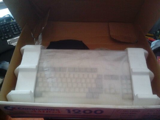 IMG_20150325_115018 (Copy).jpg