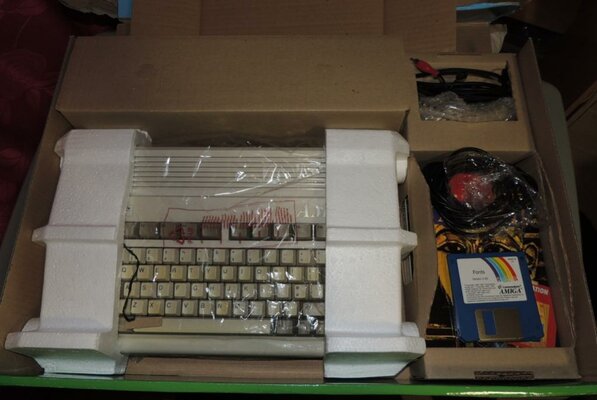 Amiga (2).jpg