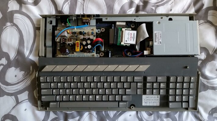 2015-08-02 12.51.36 (Custom).jpg