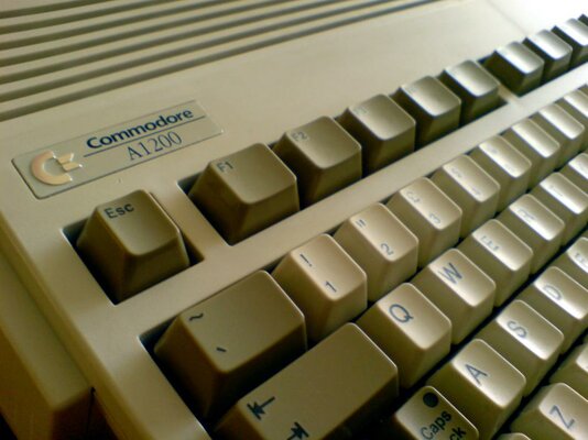 DSC00033 side angle view 2.jpg