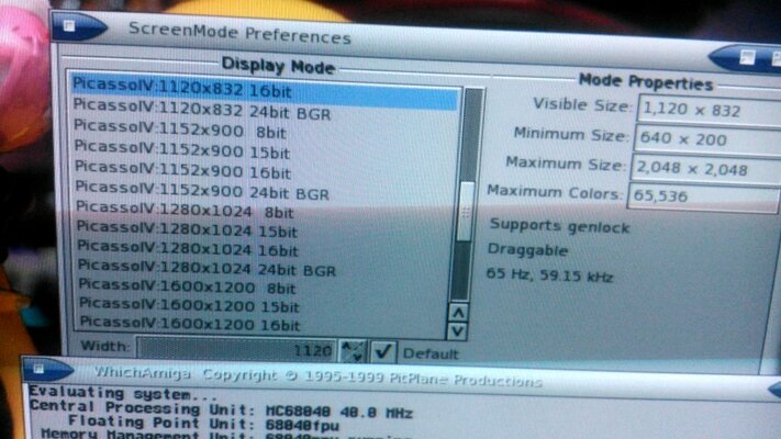 DSC_0254 (Small).jpg