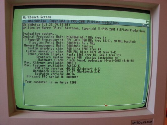 2015-10-14 16.09.42 (Large).jpg