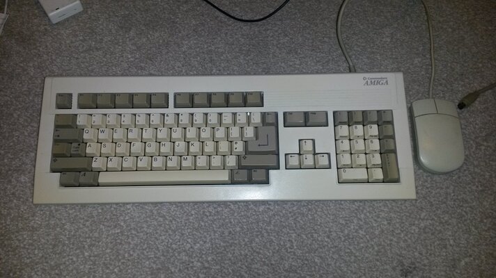 20151018_203640 (1).jpg