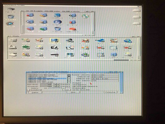 dblpal high res laced.jpg