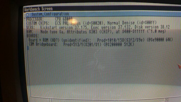 2015-12-01 17.48.45.jpg