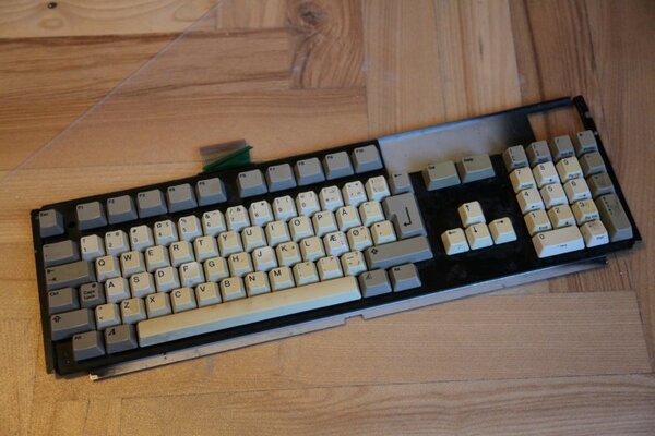 IMG_2935 (Small).JPG