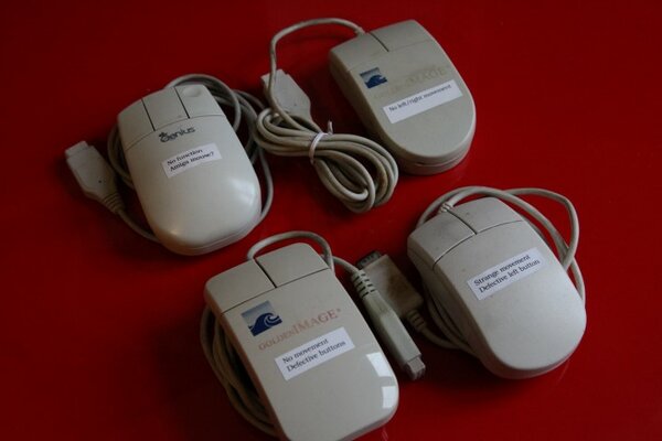 IMG_2834 (Small).JPG