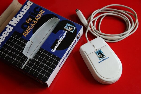 IMG_2839 (Small).JPG