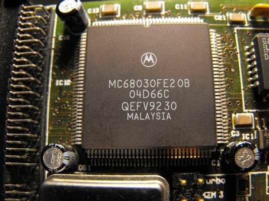 DSCF9046 (Small).JPG