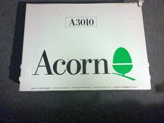 Acorn1.jpg