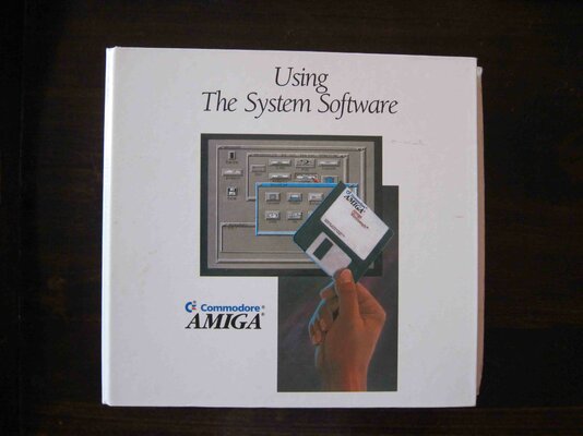 Using System Software-3.jpg