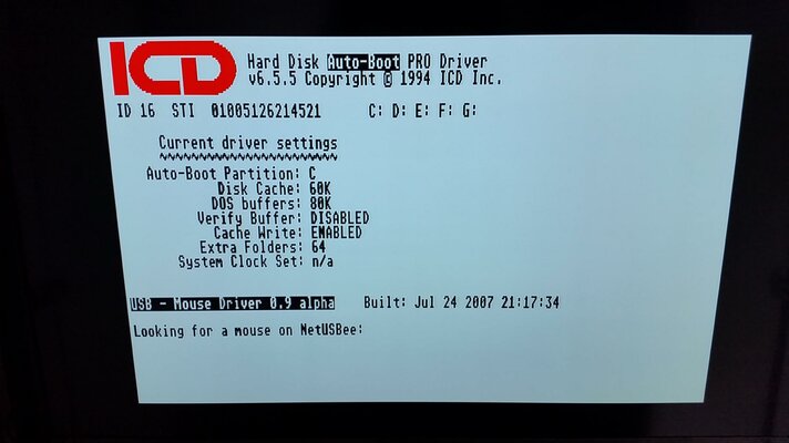 2016-03-10 13.08.08.jpg