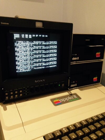 FullSizeRender (1).jpg