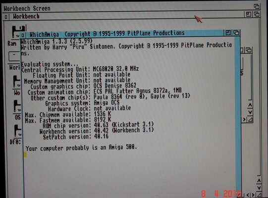 DSC05436 1024x768.jpg