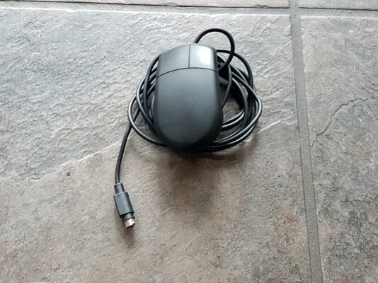 2016-04-25 17.55.17.jpg