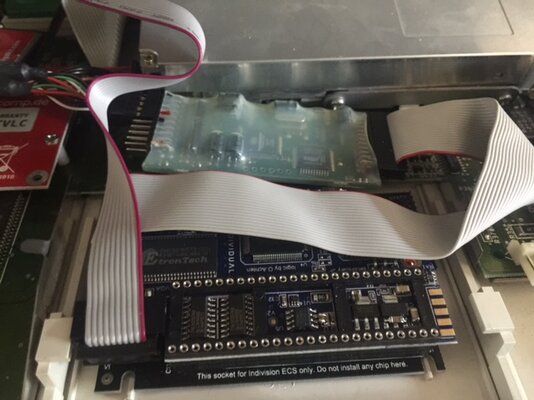 IMG_4508 [605999].JPG